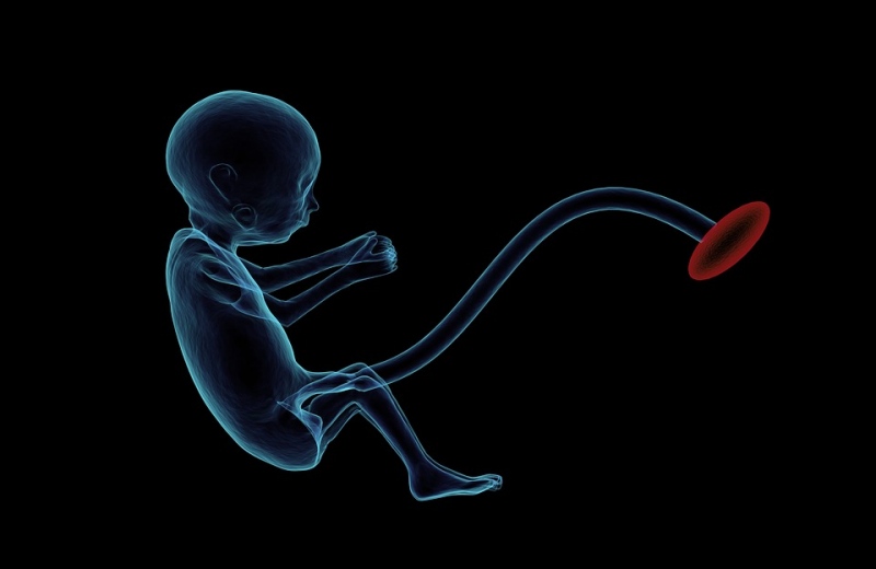 怀孕34周胎儿b超数据讲述怀孕34周的症状